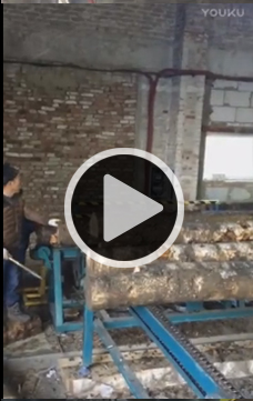 方木多片鋸，全自動(dòng)圓木方木生產(chǎn)流水線(xiàn)加工